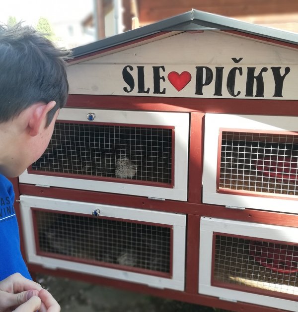 Zahrada na střeše