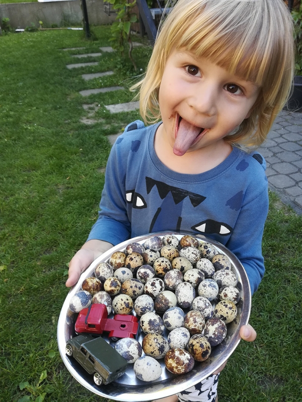 Zahrada na střeše
